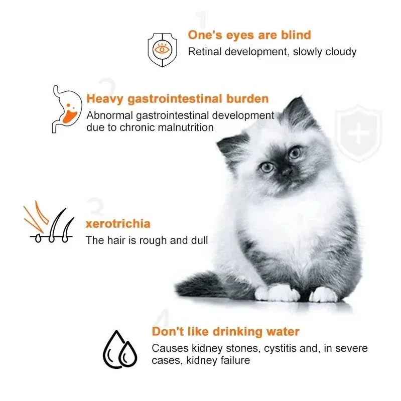 10pcs Cat Strips Pet Snacks Va - Food Snacks Label review and price